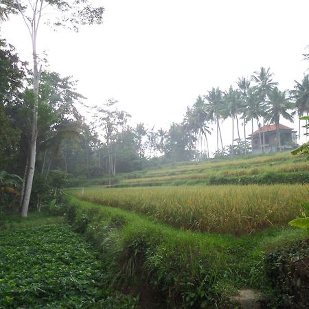 Hotel Alam Sembuwuk Ubud Exterior foto