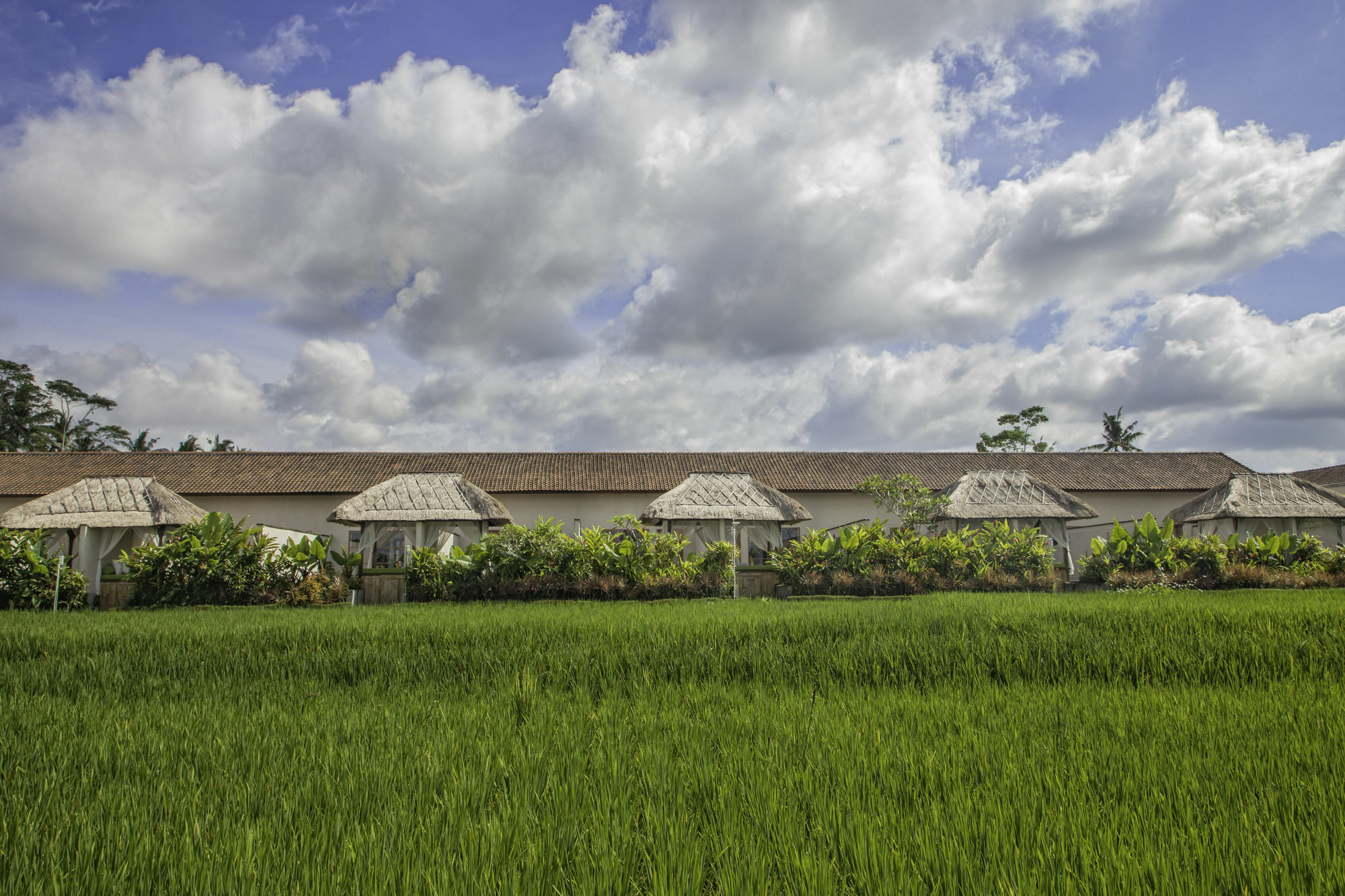 Hotel Alam Sembuwuk Ubud Exterior foto